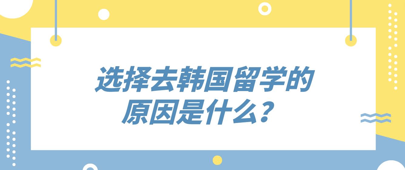 选择去韩国留学的原因是什么？(图1)