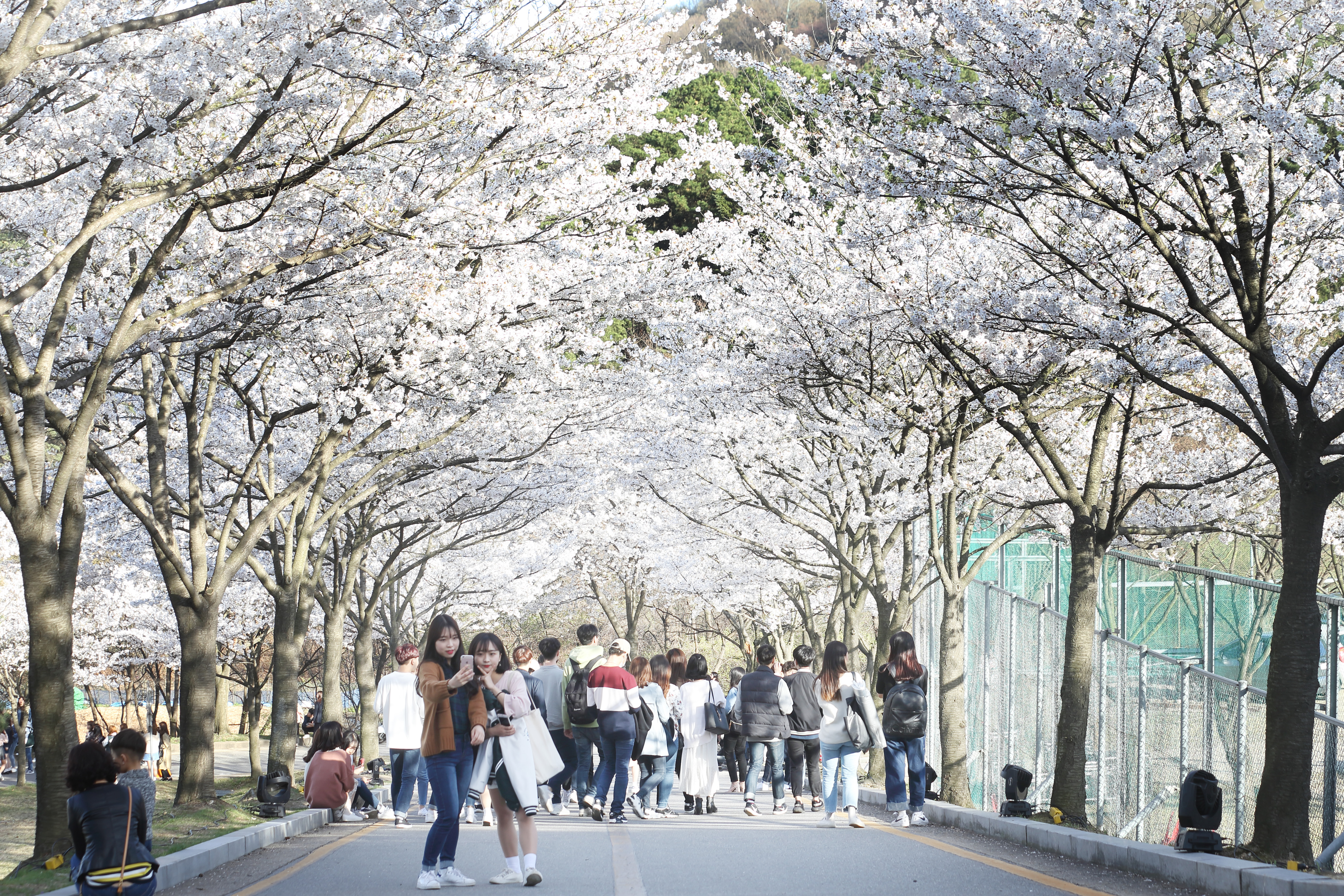 韩国留学明知大学校园环境怎么样？(图2)