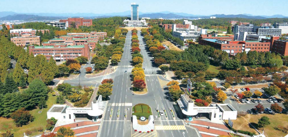 韩国留学大邱大学1年制专升本国际语言文学专业火热申请中，快来看看吧！(图1)