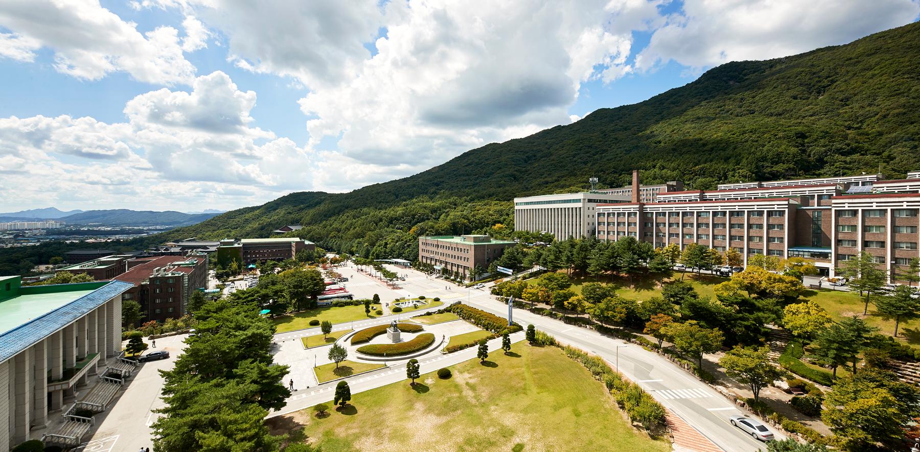 统招专升本太卷，不如选择韩国大真大学1年制专升本，专业齐全，学制短，1年就能毕业！(图1)