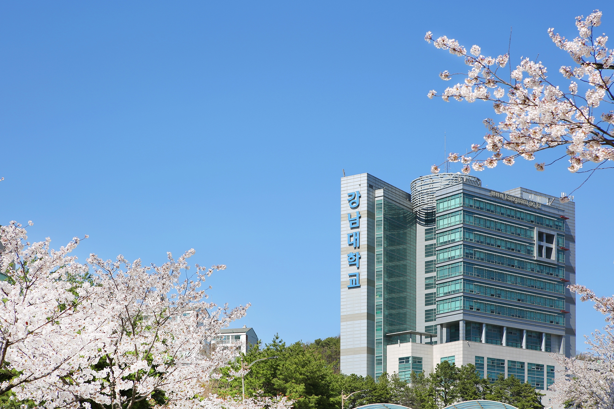 韩国留学申请3月和9月难度差异很大吗？