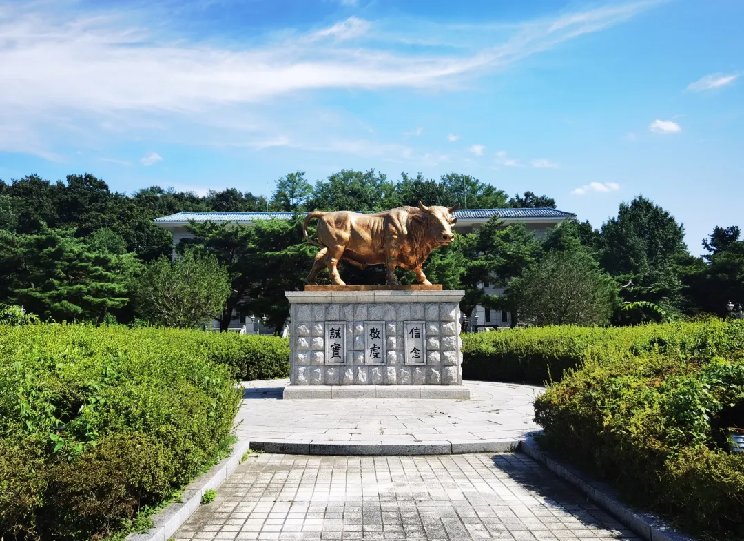 山东女子学院与韩国大真大学0+1专升本招生介绍