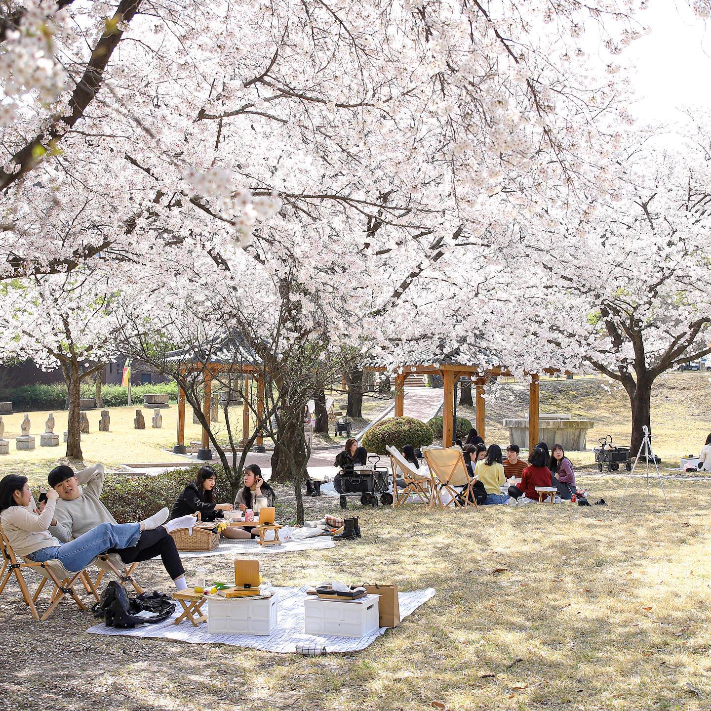 韩国留学免试录取—2024年9月韩国大邱大学1年制文化contents专业硕士招生简章来了！