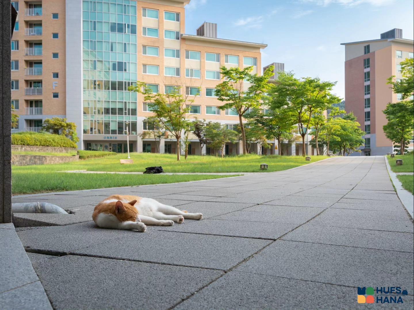 韩国留学中文硕士外国语大学学校环境怎么样？(图2)