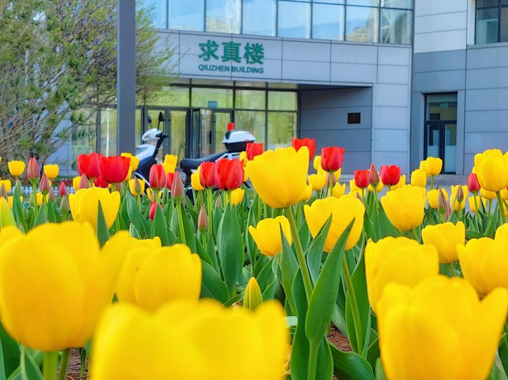 山东女子学院与全南大学联合顶级名校计划培养本科班招生简章(图1)